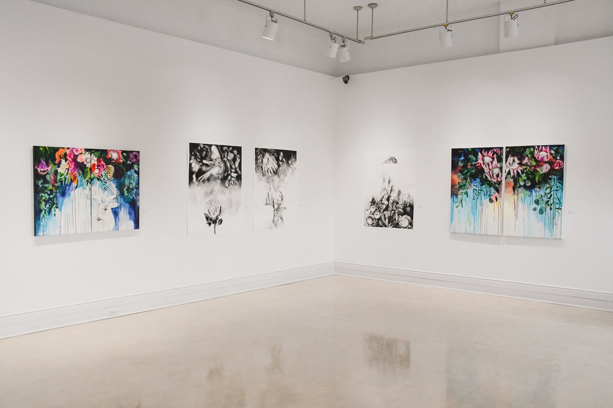Art gallery exhibit featuring paintings of flowers, animals, and nature scenes on white walls with track lighting overhead.