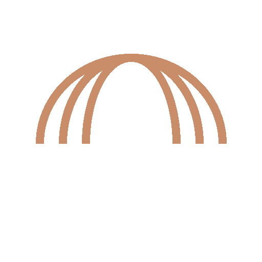 A simple illustration of a dome-shaped structure with curved lines supporting it.