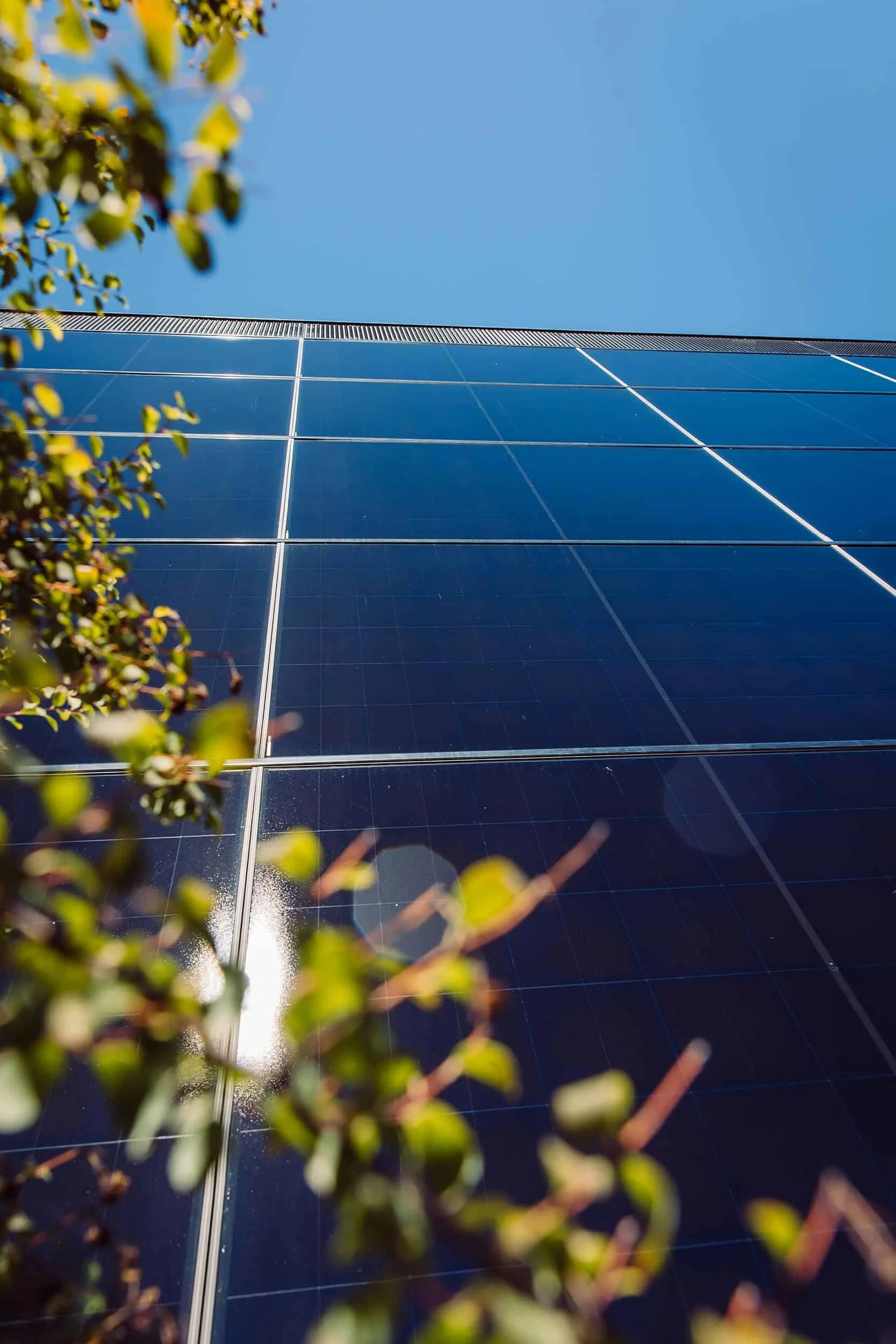 Blick nach oben auf eine moderne Fassaden-Solaranlage eines Gebäudes, mit einer klar erkennbaren blauen Himmel im Hintergrund, und einige grüne Blätter im Vordergrund.