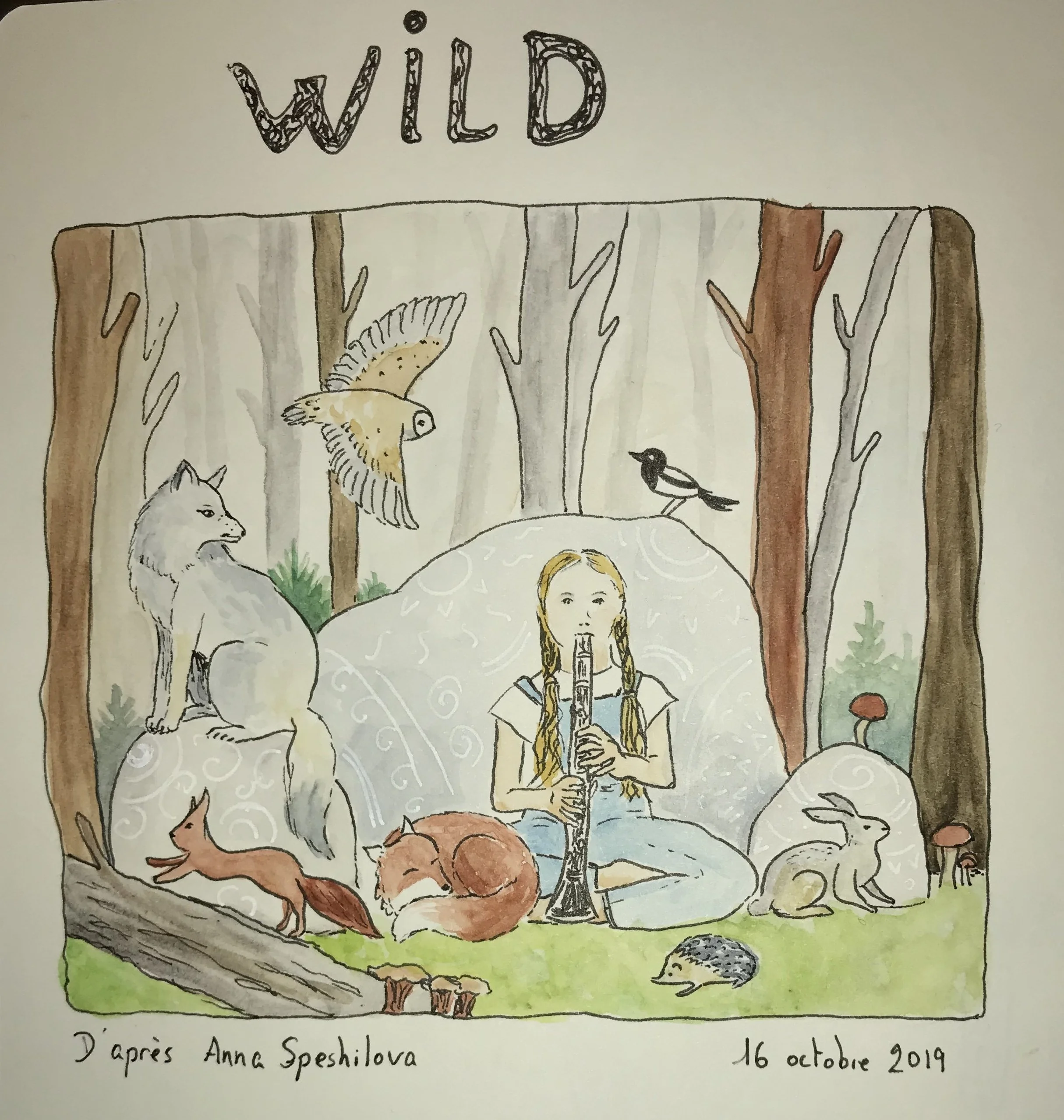 IMG_0675.jpeg