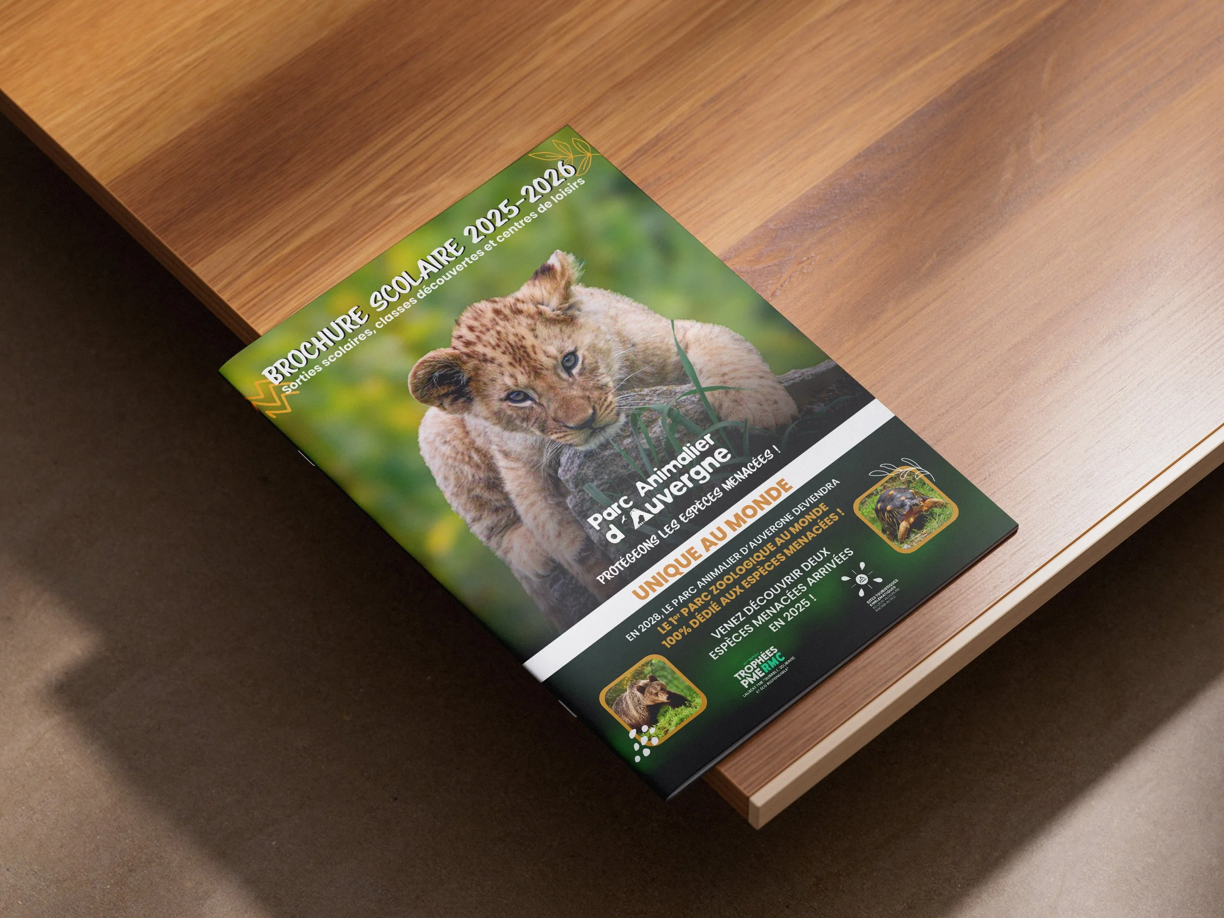 Mockup brochure.jpg