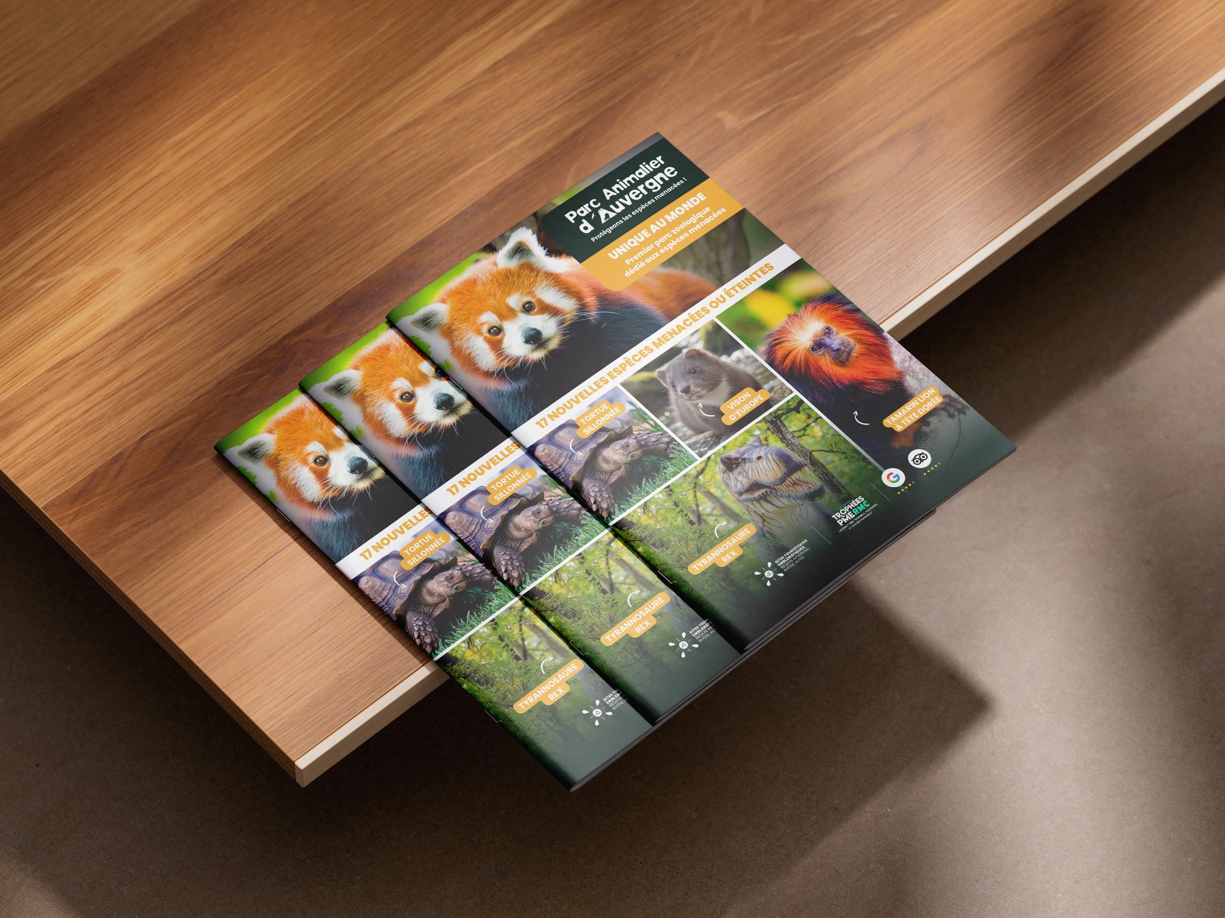 Brochure_Mockup_3.jpg