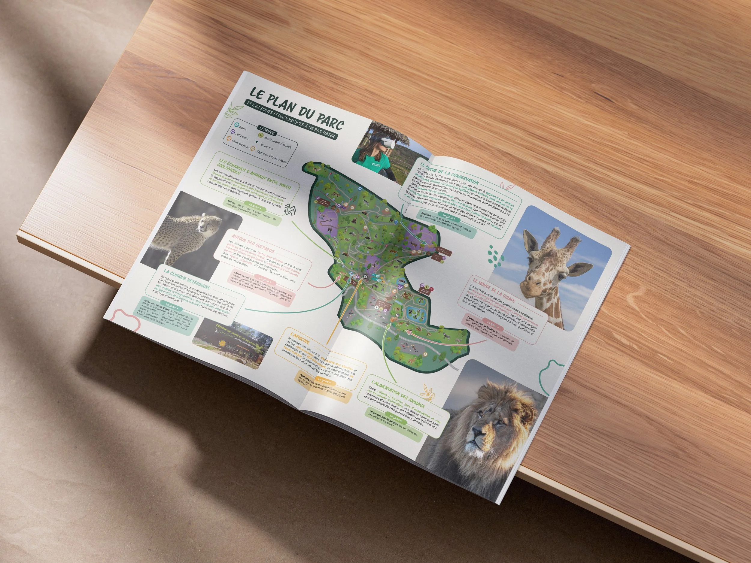 Brochure_Mockup_2.jpg