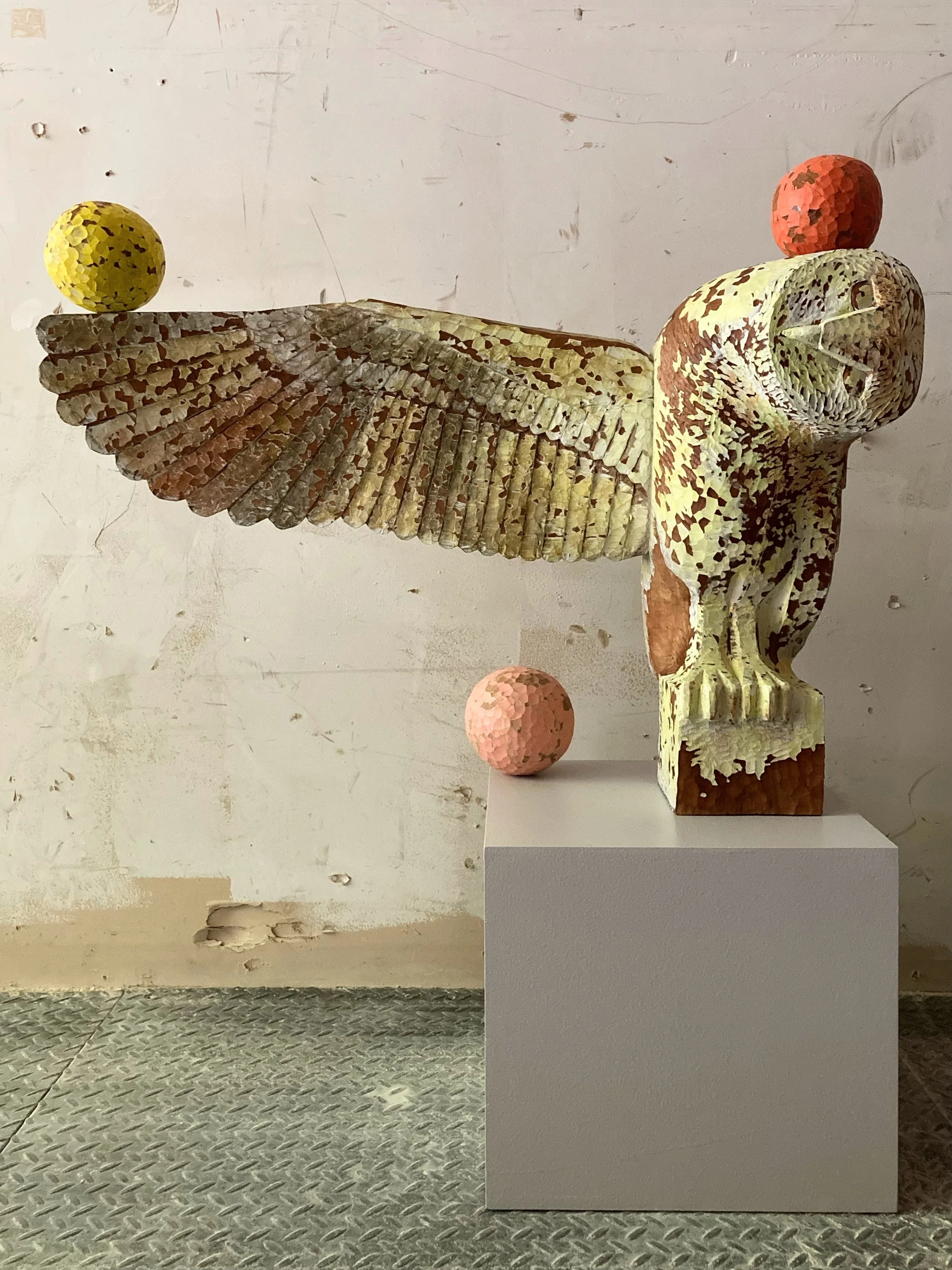 Barn Owl
