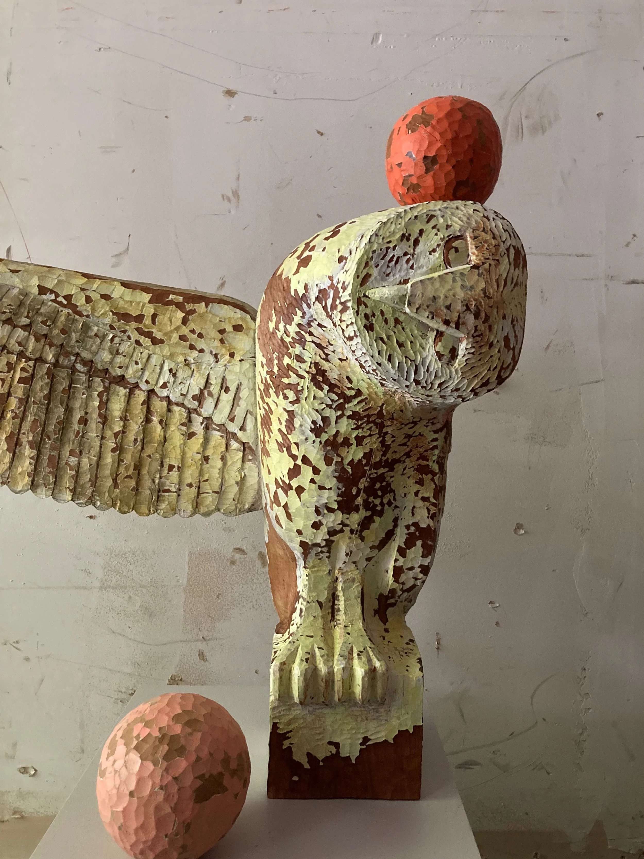 Barn Owl, 2026