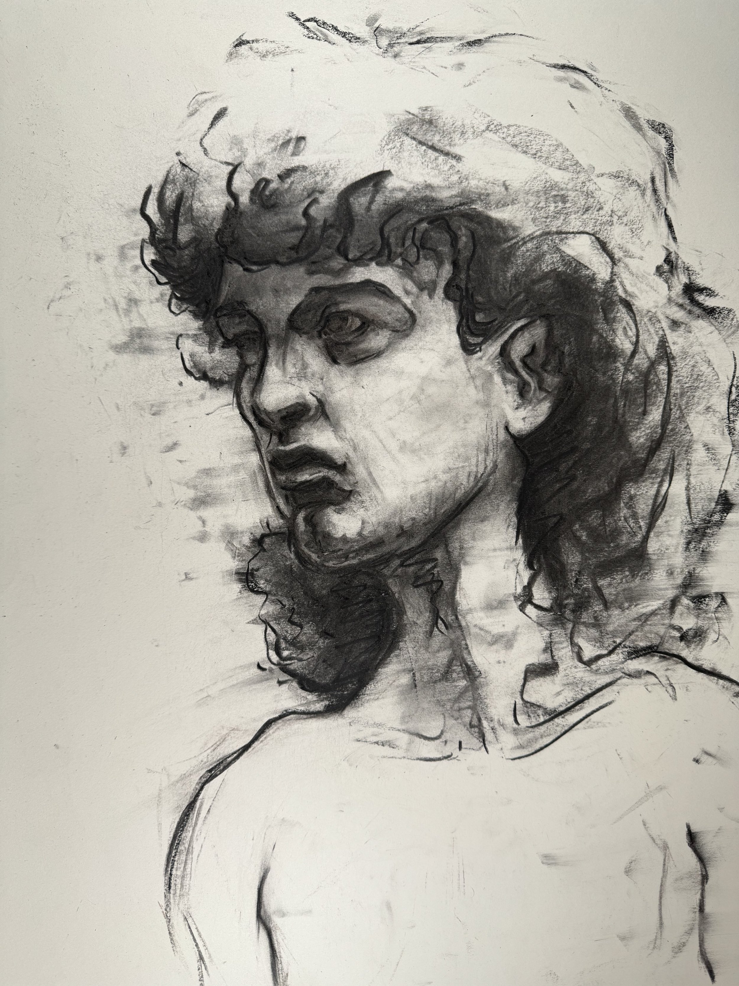 18" x 24", charcoal, 2024