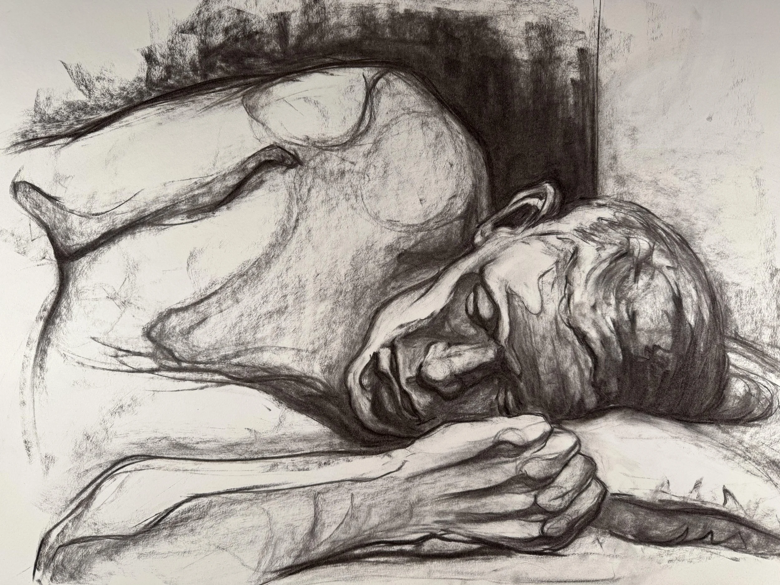 18" x 24", charcoal, 2024