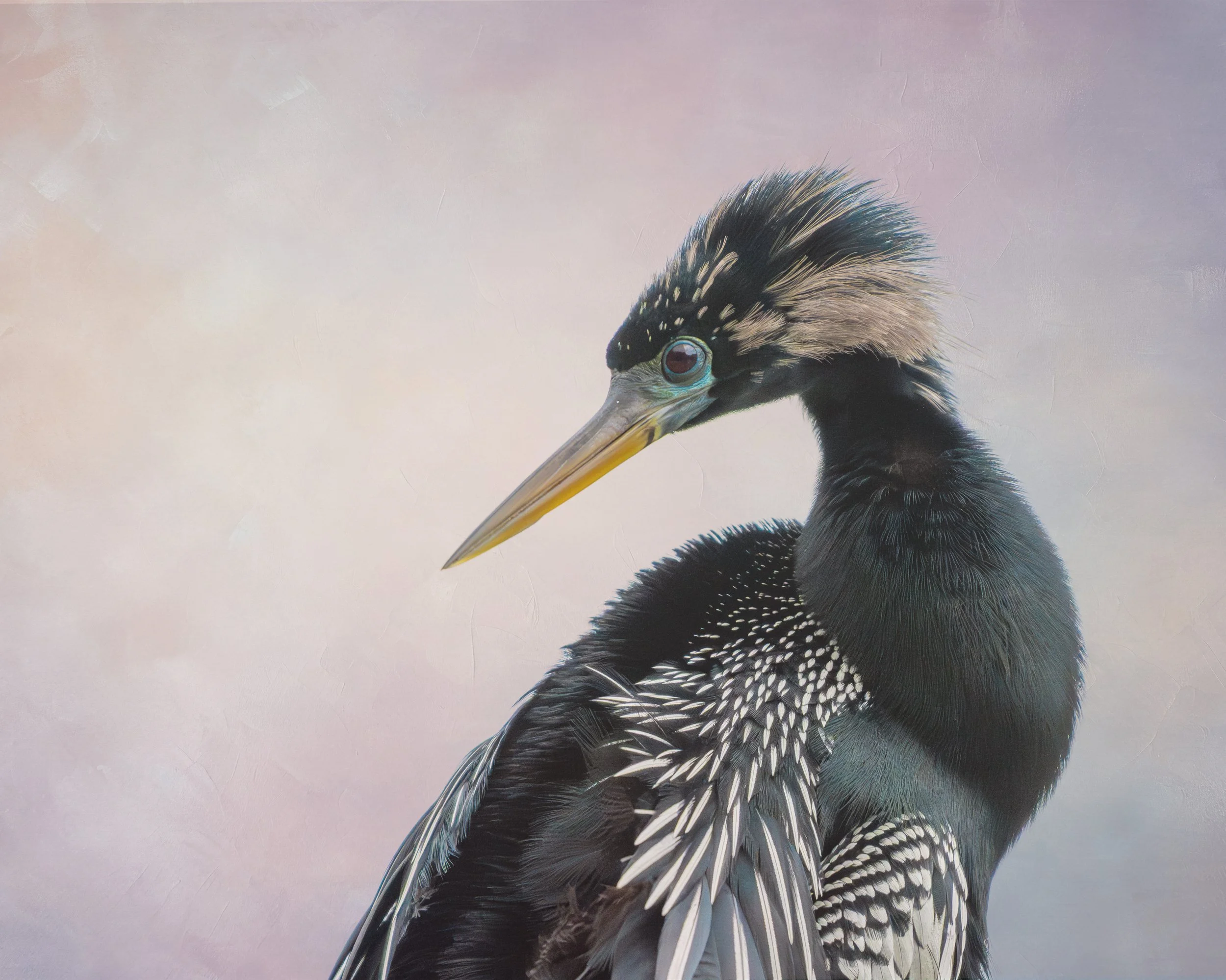 The Observer, Anhinga at City Park, New Orleans, LA
