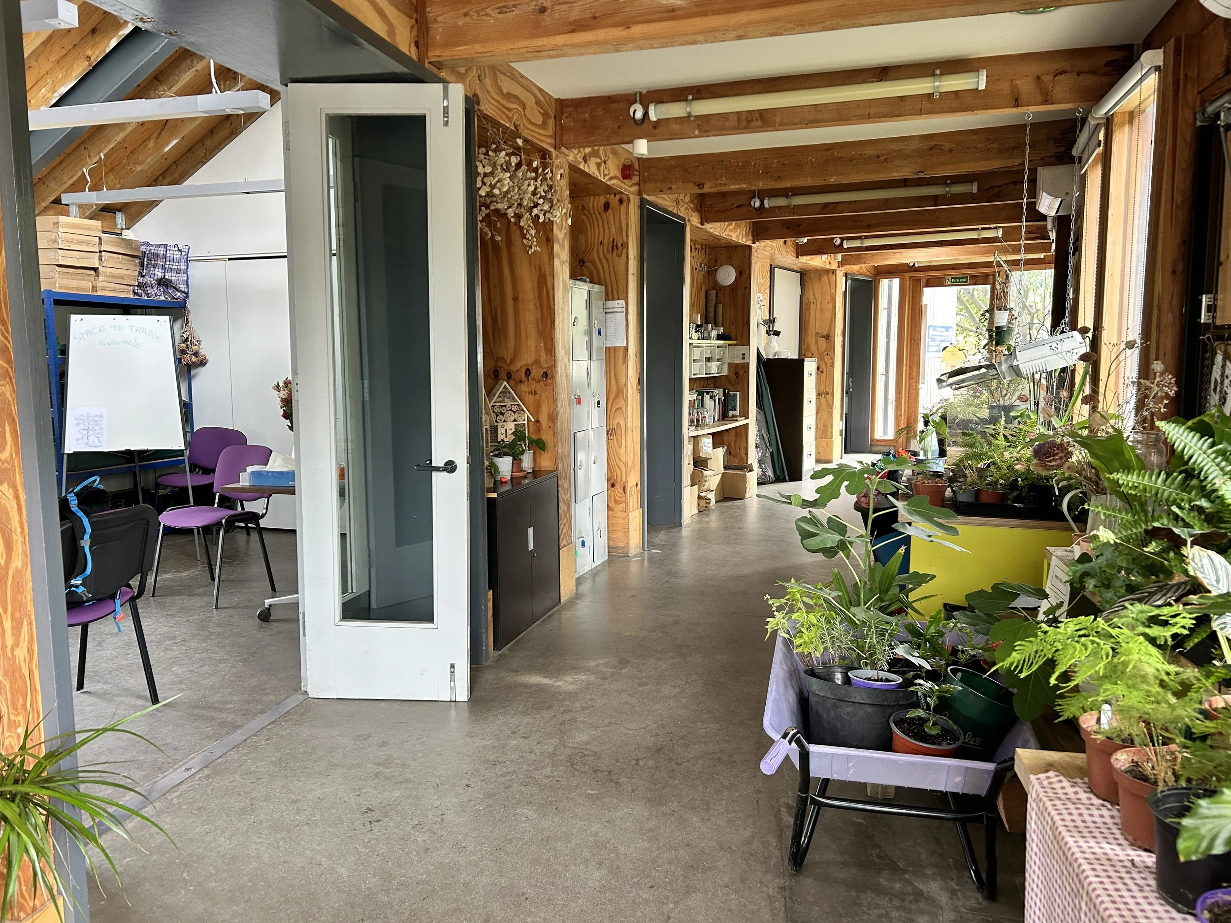 Space to Thrive: A 2-Day Experiental Workshop