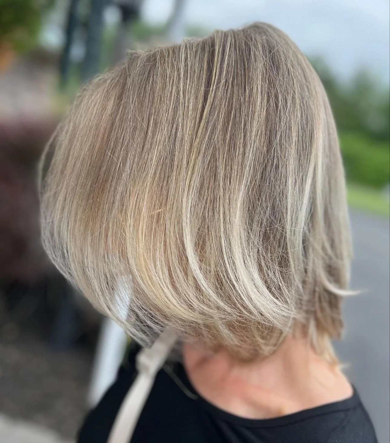 Highlights