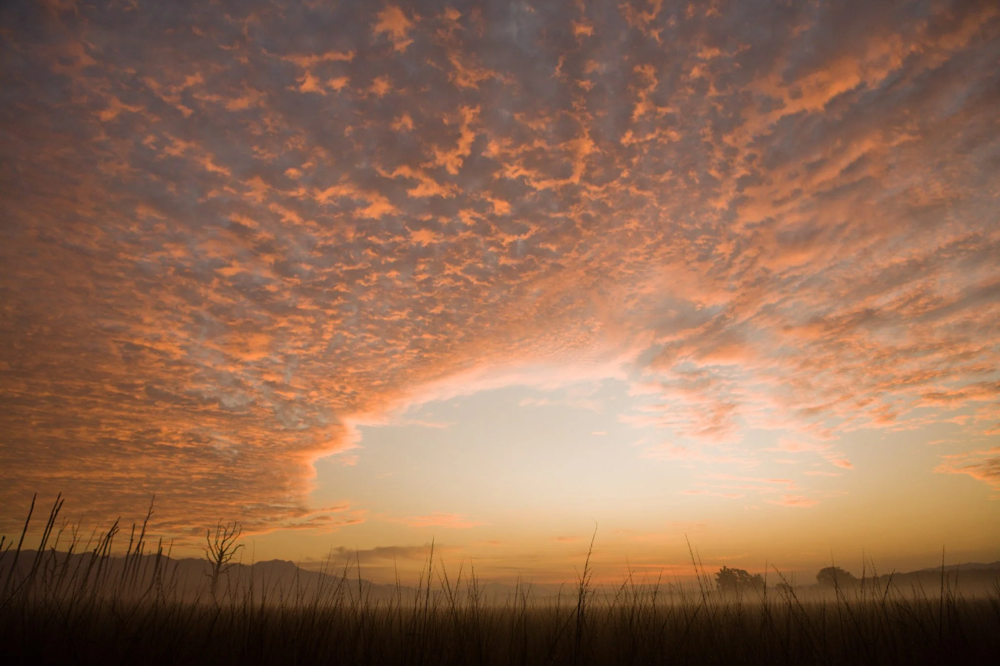 Dawn sky