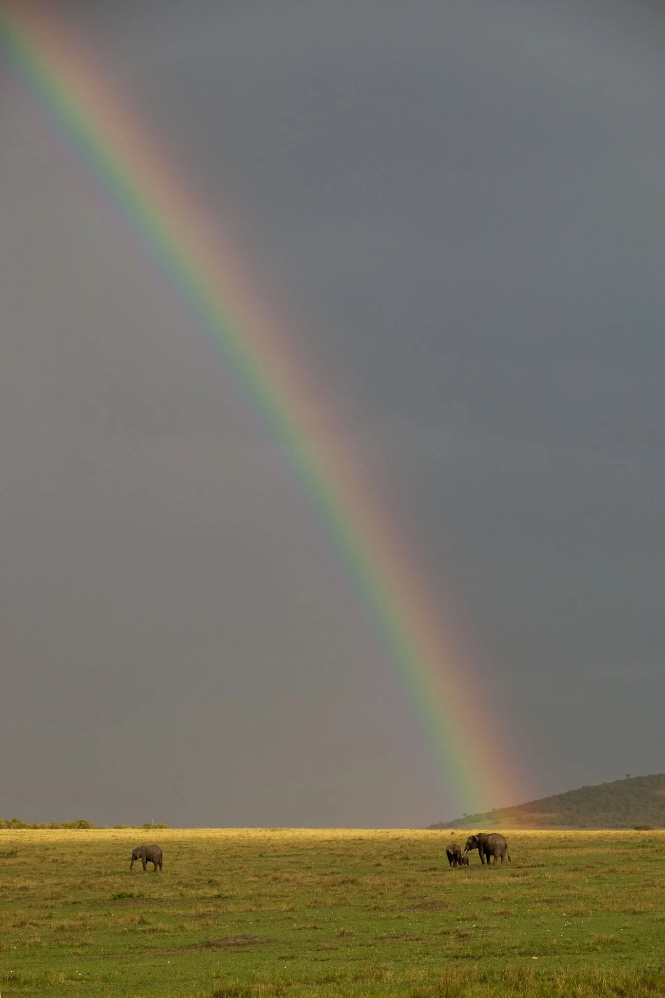Rainbow over the Mara