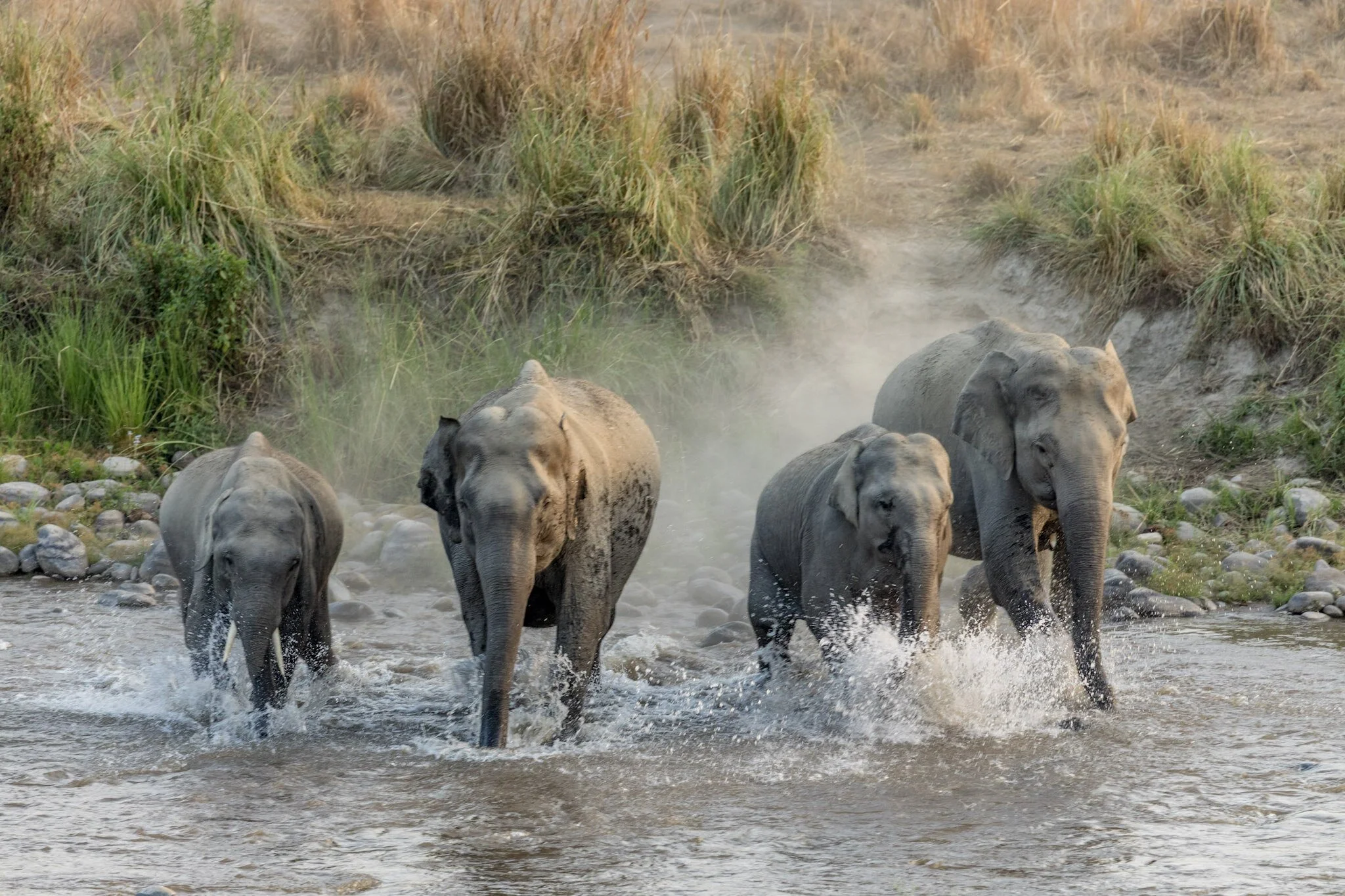 Crossing the Ramganga