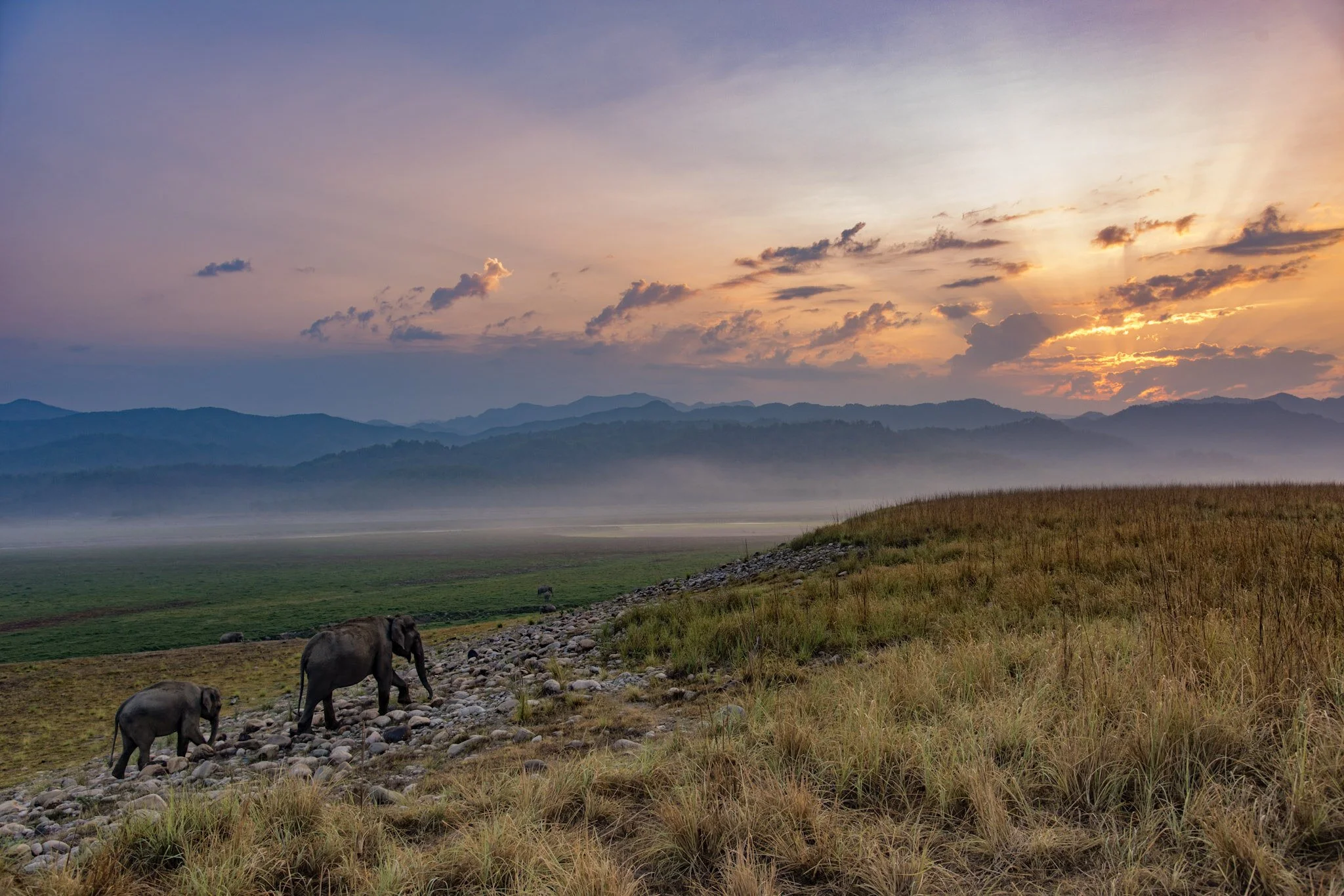 Ramganga panorama, Dhikala