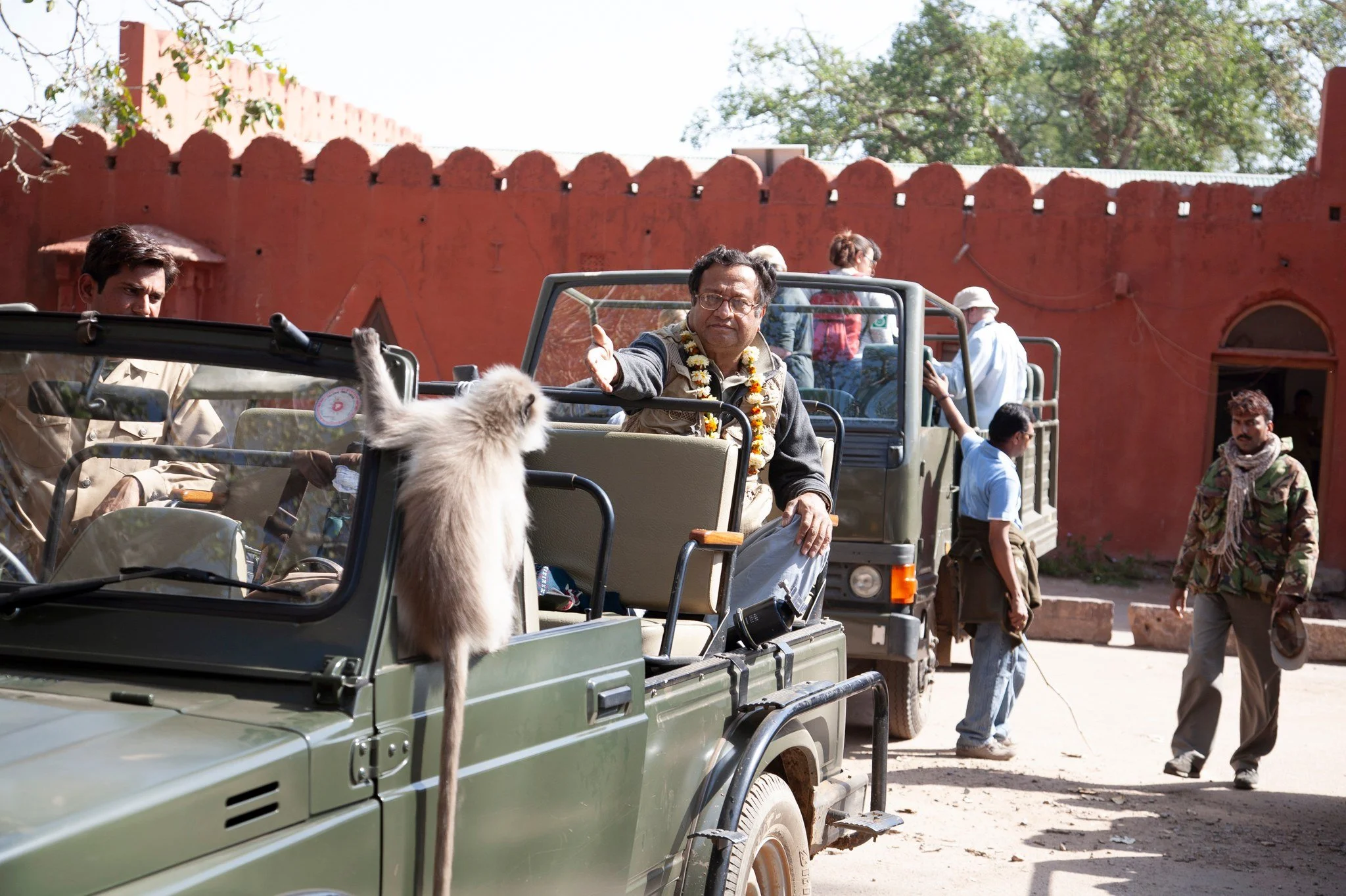 A langur joins the safari, March 2007.