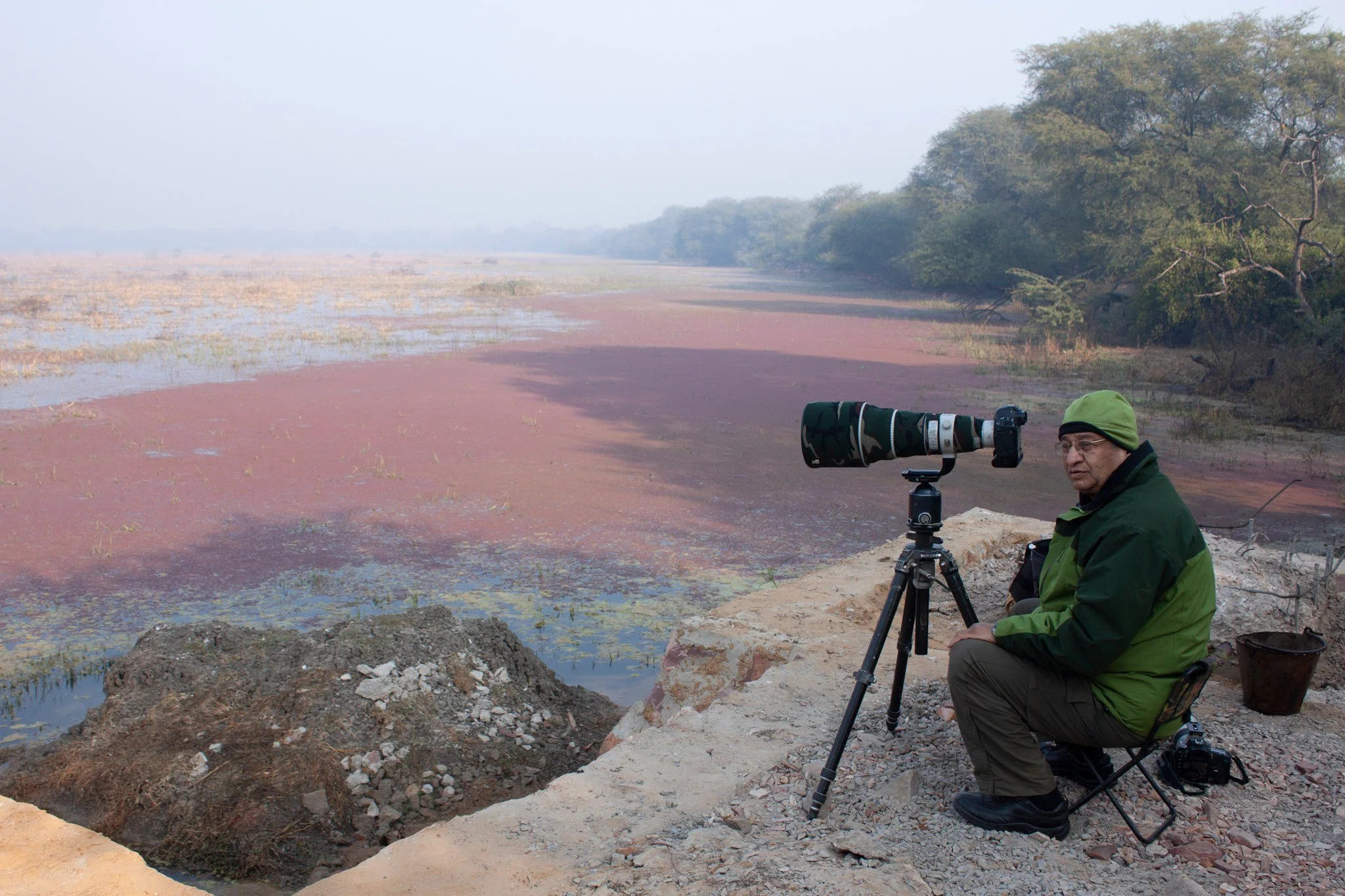 At the edge of the marsh, Bharatpur, December 2011.