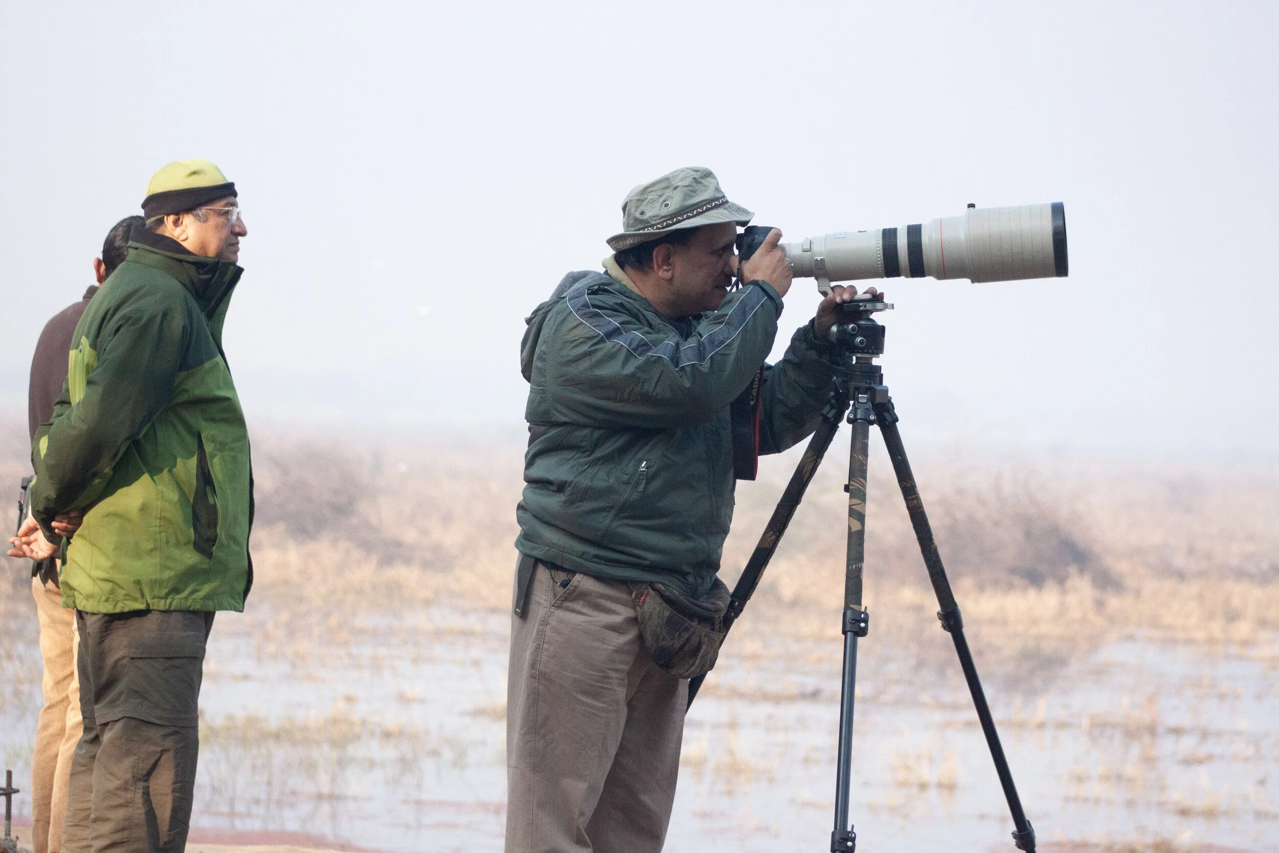 On the wetlands at Bharatpur, December 2011.