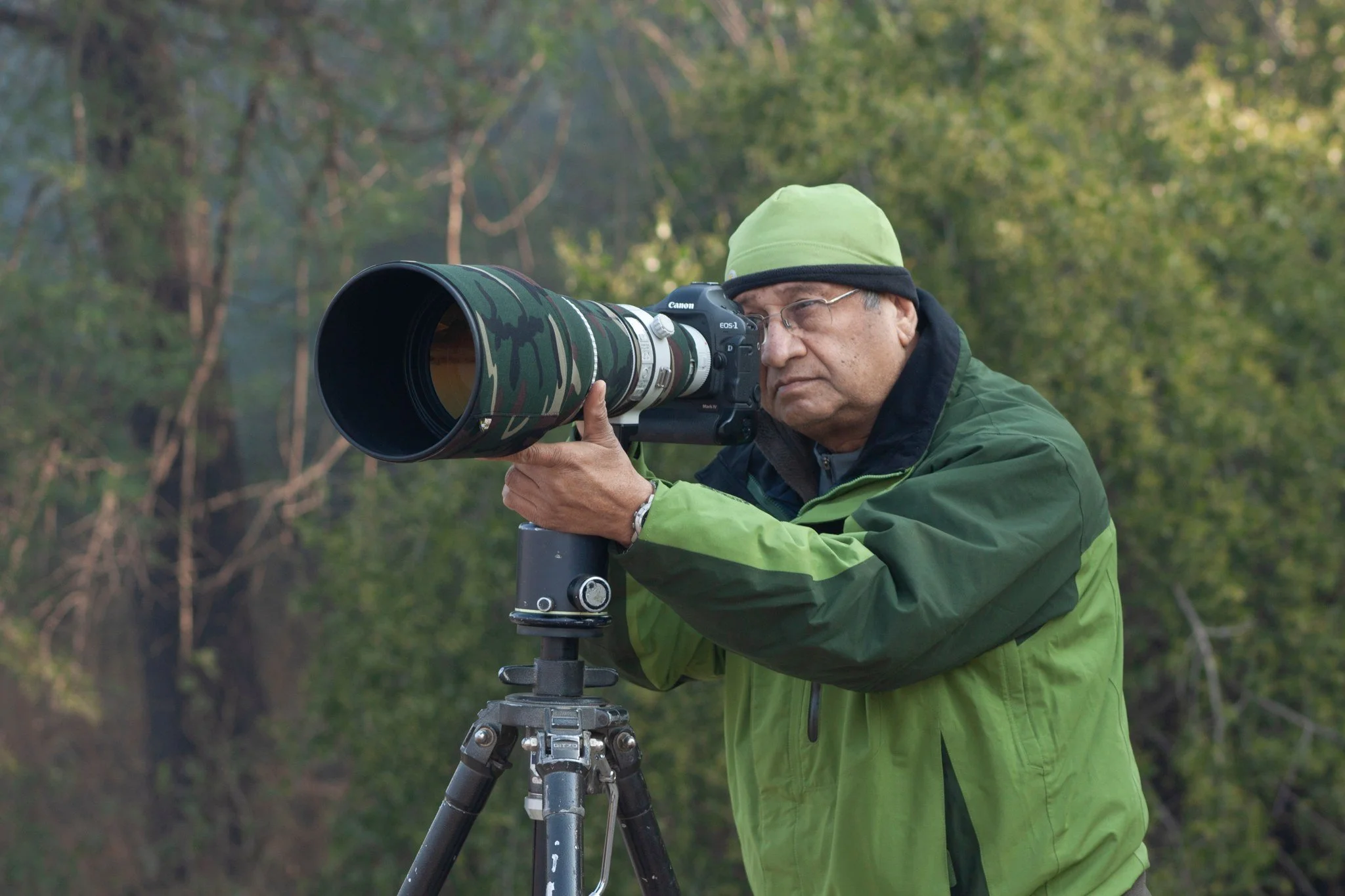 Bharatpur, December 2011.