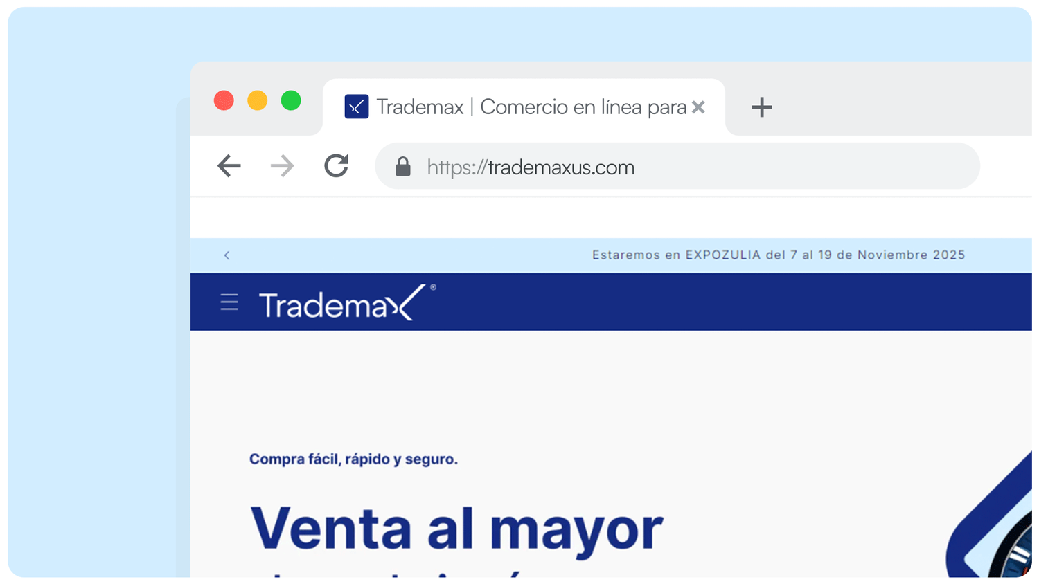 Trademax Preview 11
