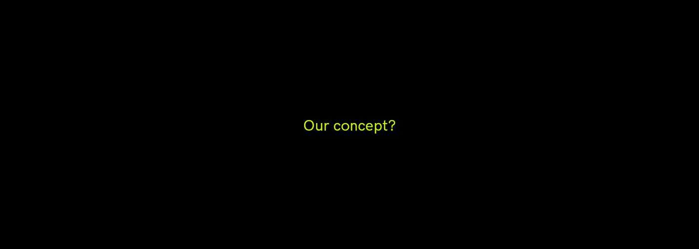 Our concept the future