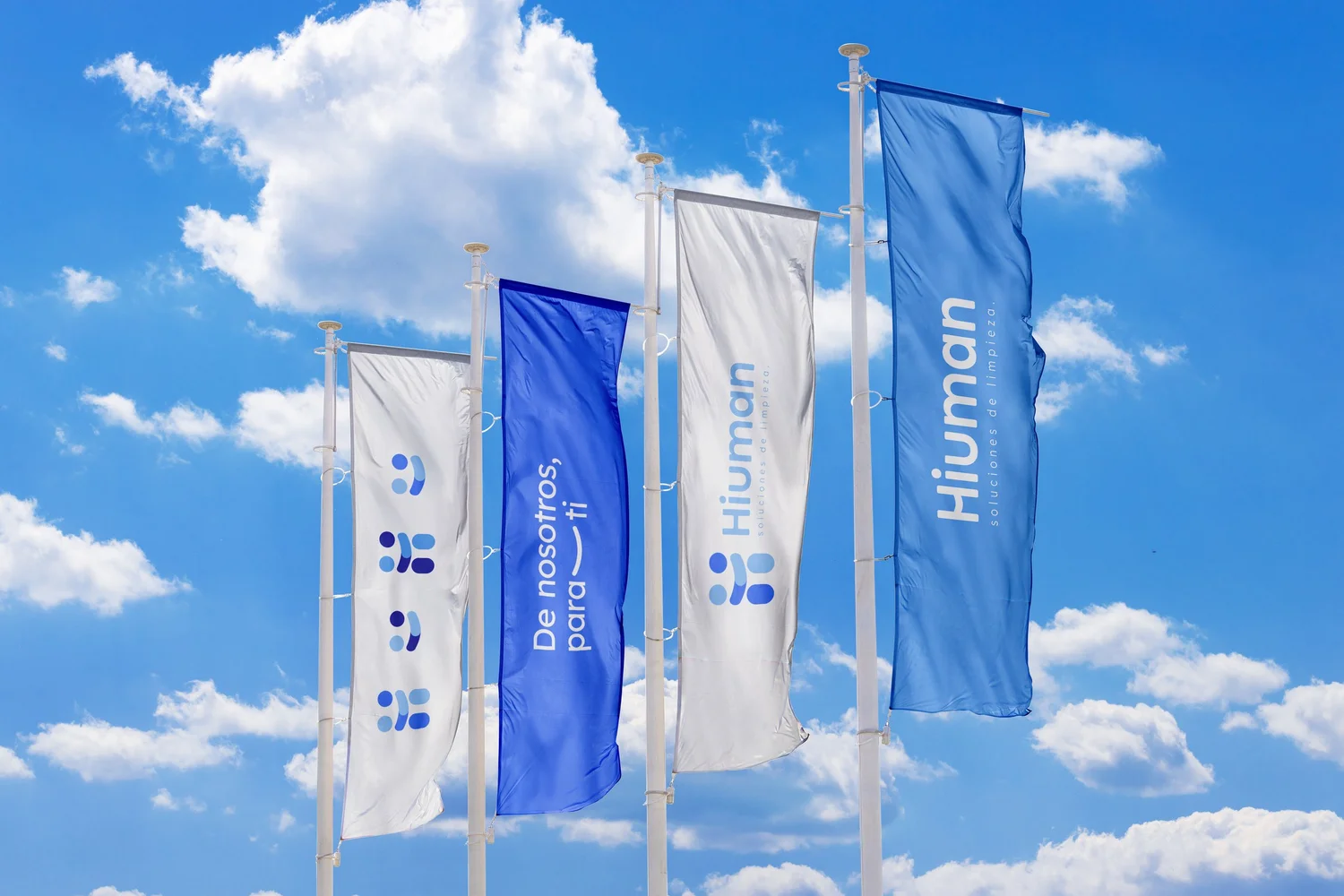 Flags mockup Hiuman