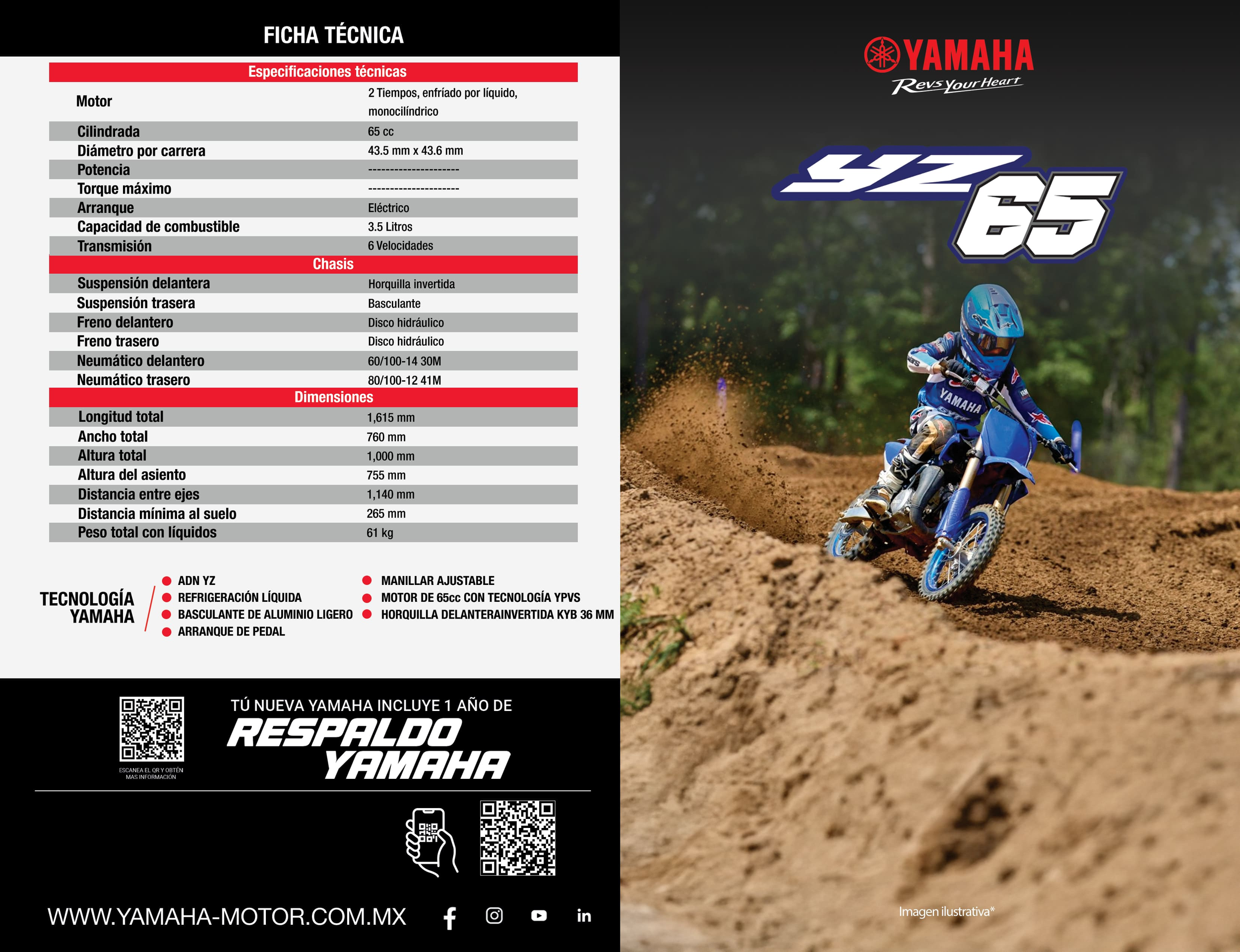 YZ65.png