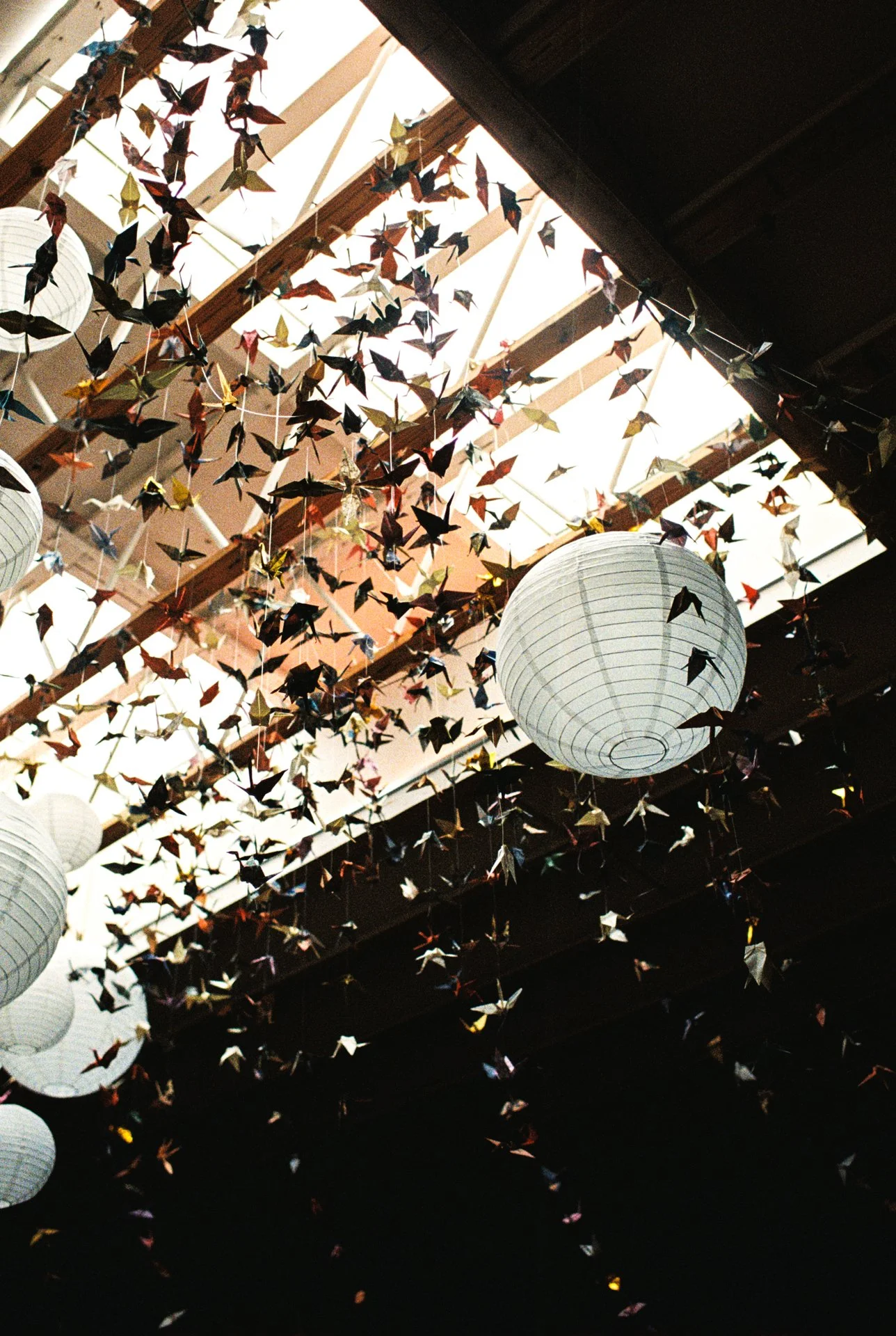 GabbieBurseth_Valentine-Los-Angeles-wedding_48.jpg