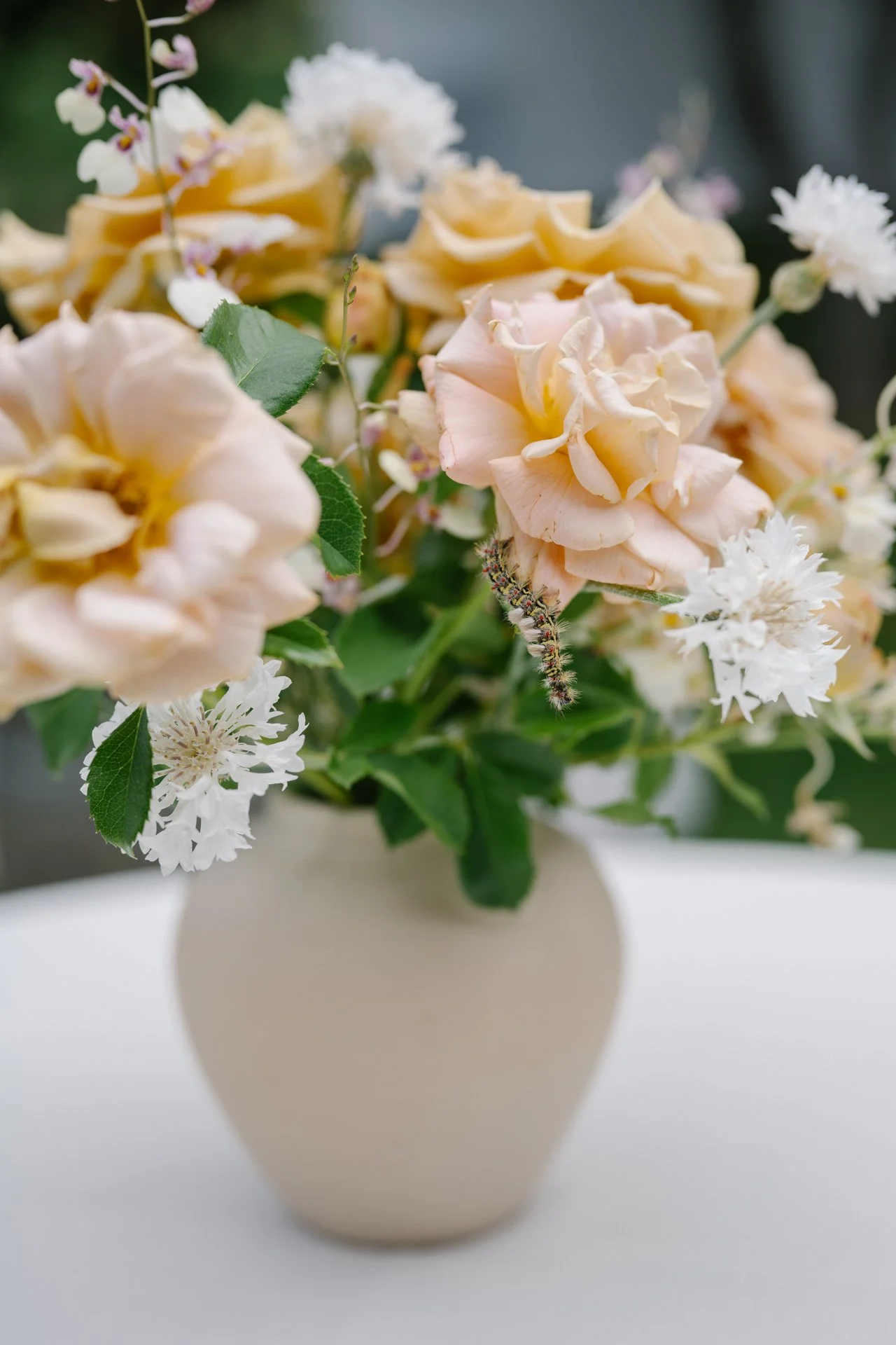 GabbieBurseth_carmel-valley-ranch-wedding_09.jpg