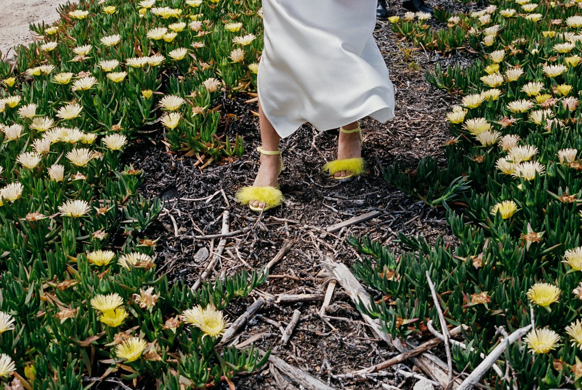 Woman in a white dress with yellow fluffy high heel shoes walking through a garden of yellow flowers.