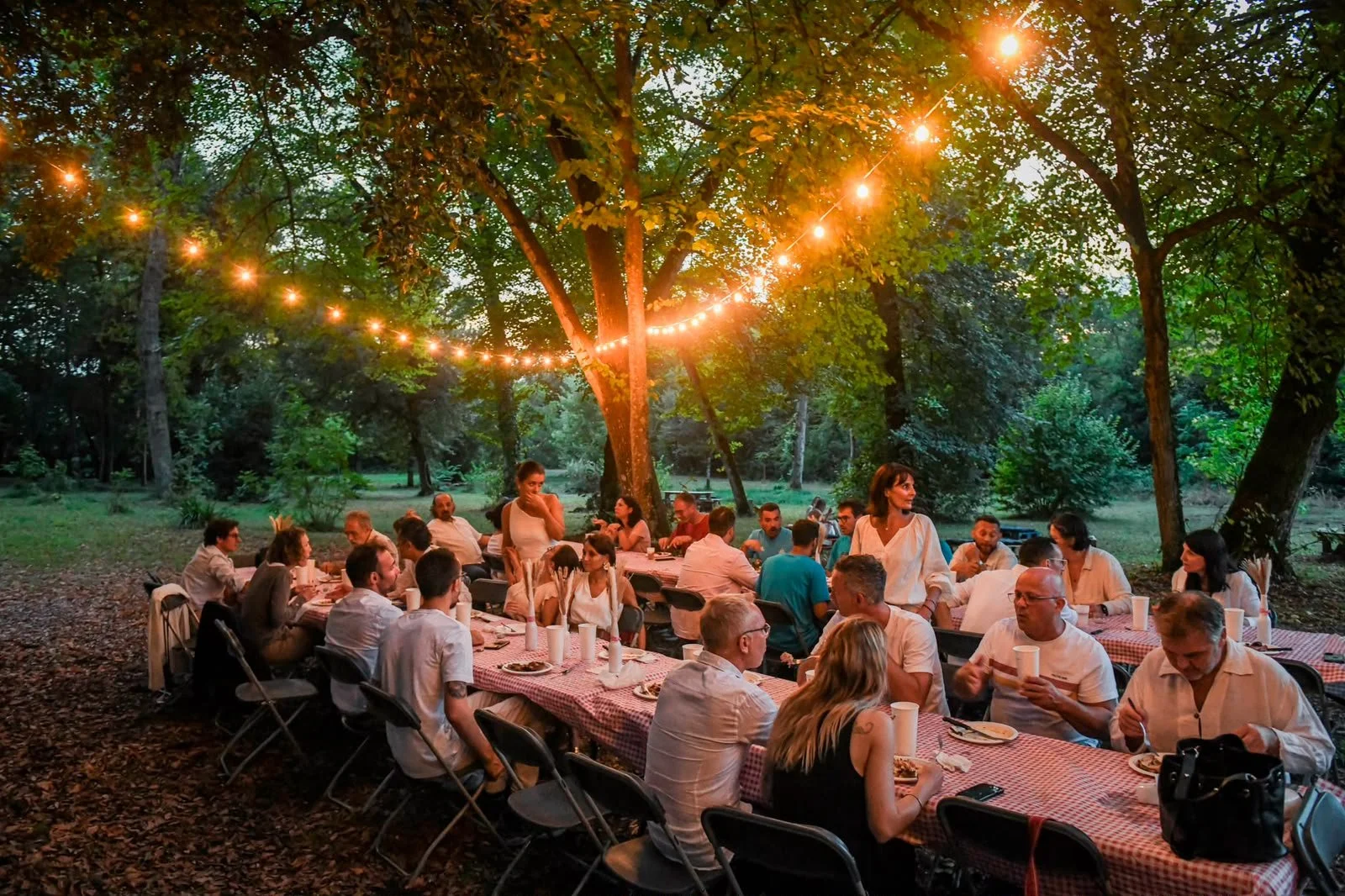 Un groupe de personnes assises autour d'une longue table avec des nappes à carreaux, lors d'un dîner en plein air, sous des guirlandes lumineuses suspendues entre des arbres, dans une forêt verdoyante en soirée.
