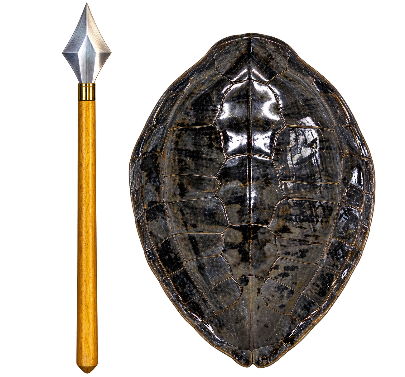 A turtle with a dark, patterned shell alongside a spear with a wooden handle and a metal tip.