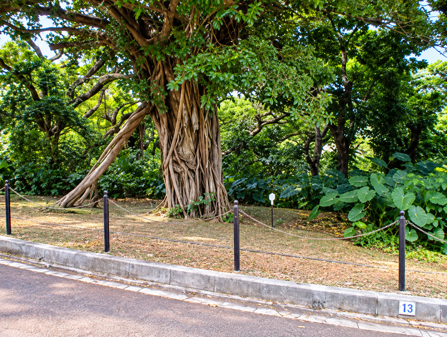 Okinawa Trip 2010 - misc (8).png