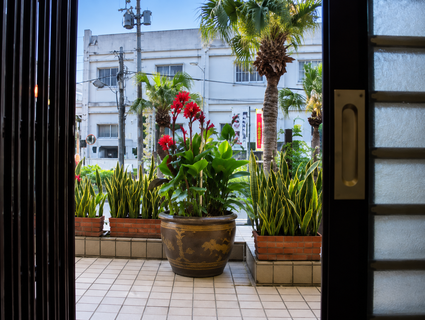 Okinawa Trip 2010 - misc (29).png
