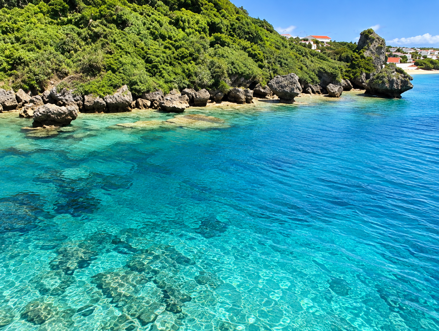 Hama Higa Island - Okinawa 2010 (13).png