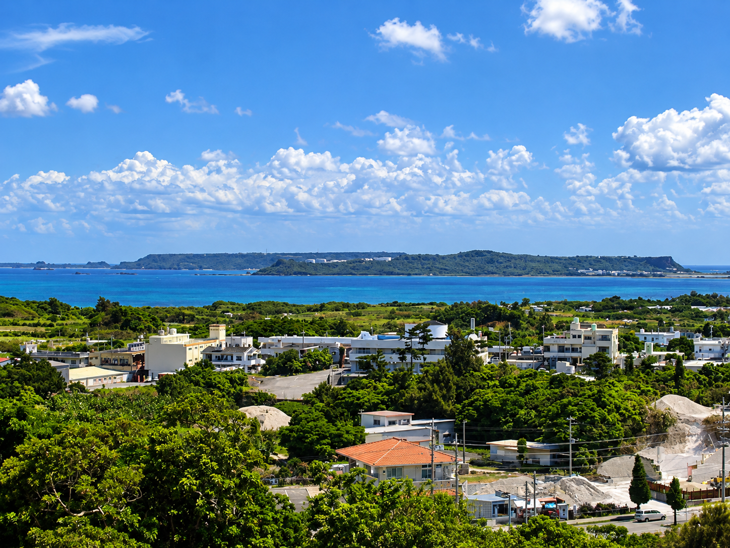 Okinawa Trip 2010 - misc (28).png
