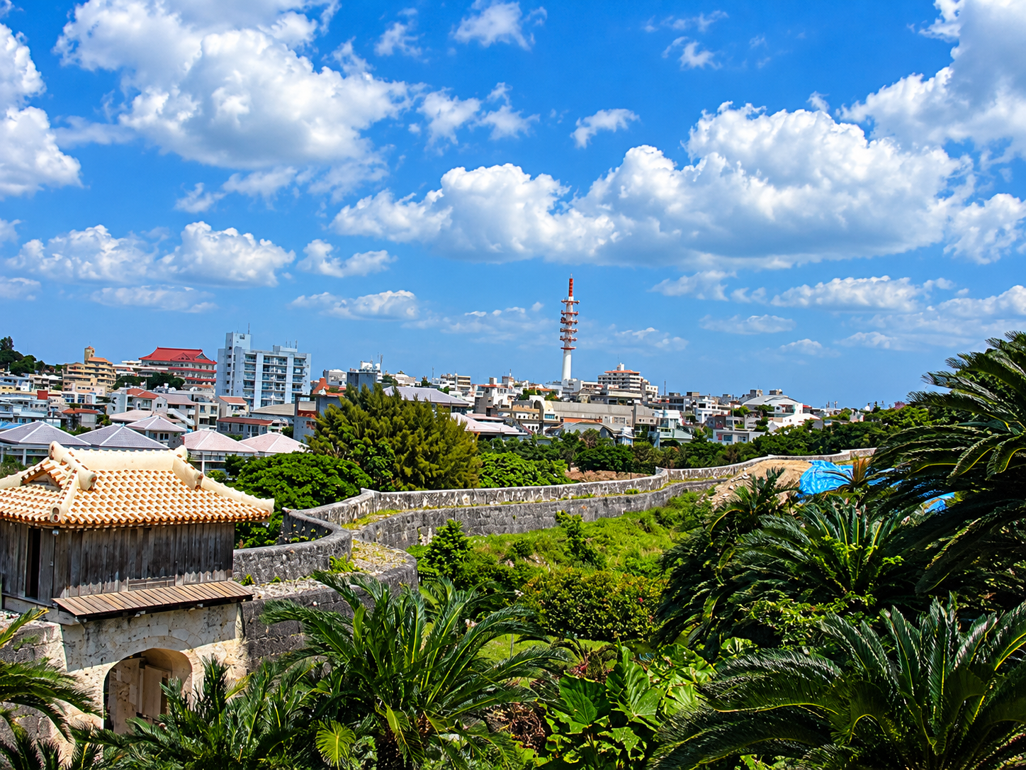 Shurijo Park - Okinawa 2010 (1).png