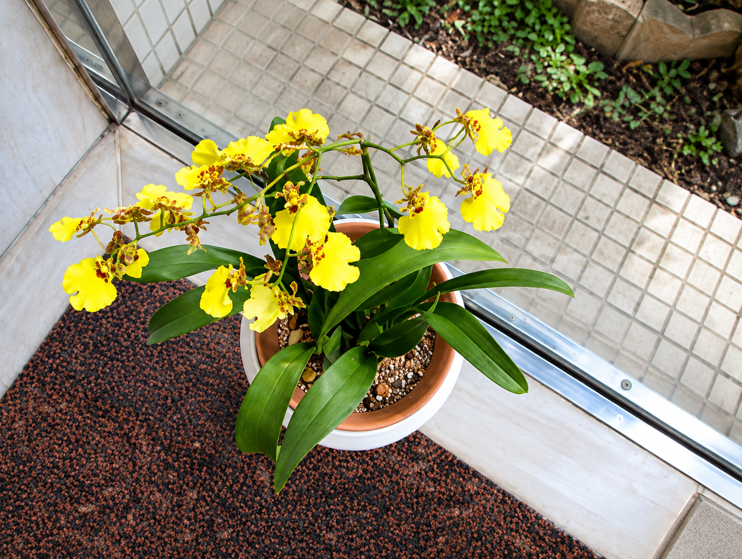 Okinawa Trip 2010 - misc (26).png