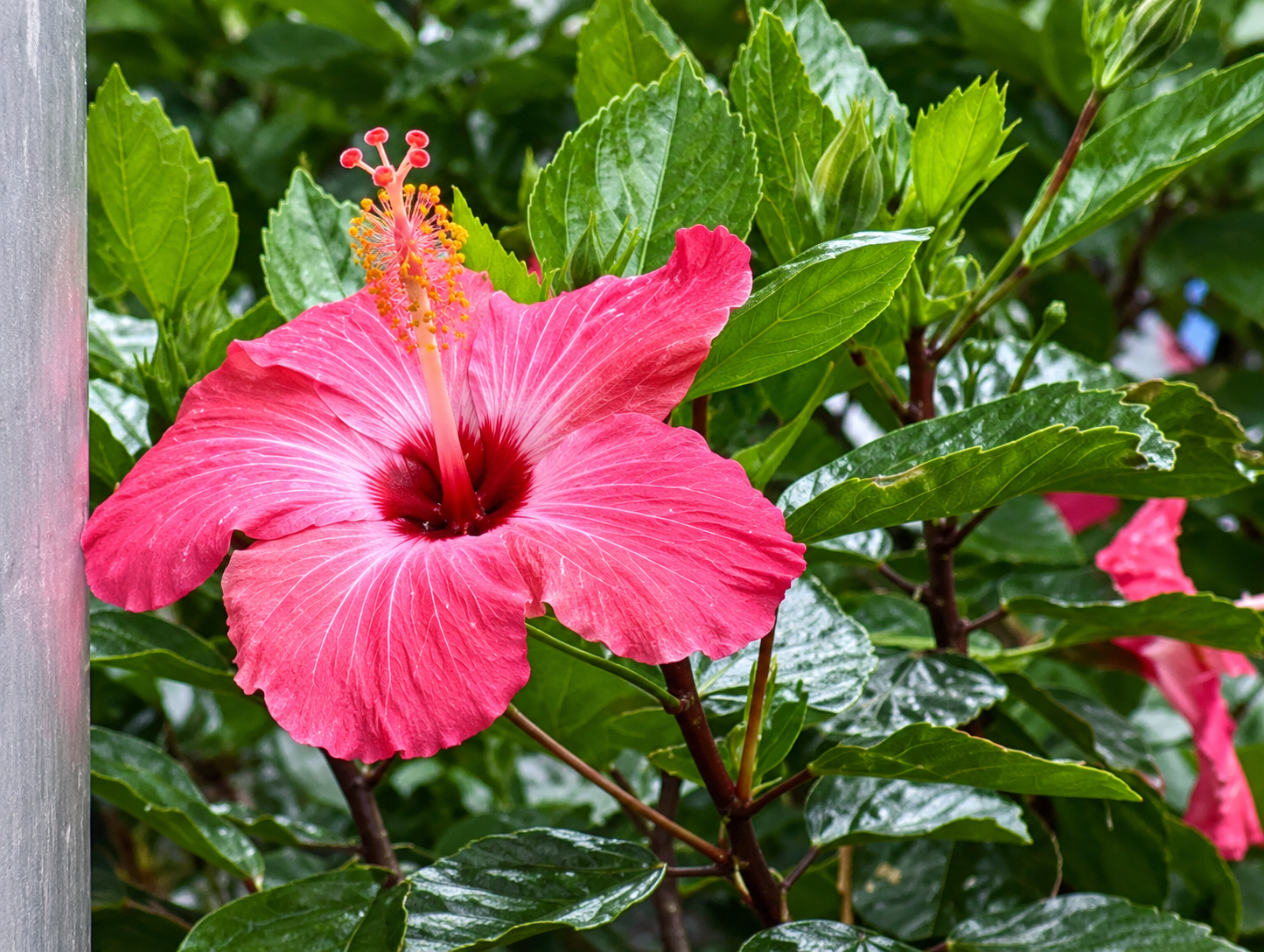Okinawa Trip 2010 - misc (34).png