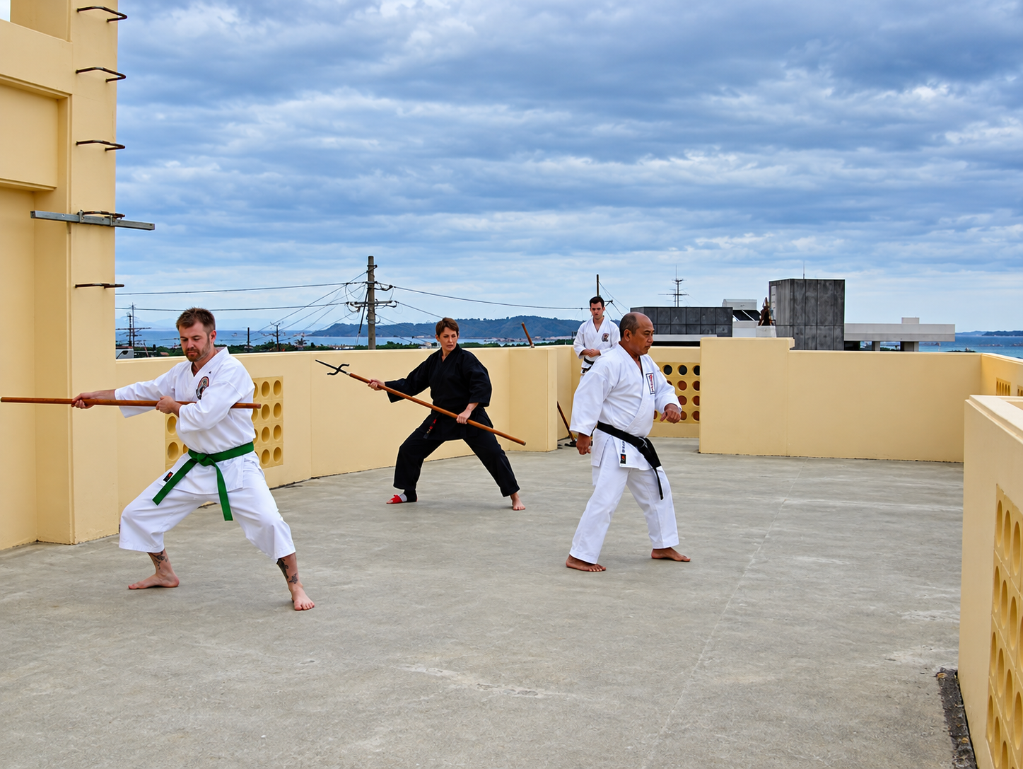 Tokumura Dojo - Okinawa 2010 (8).png