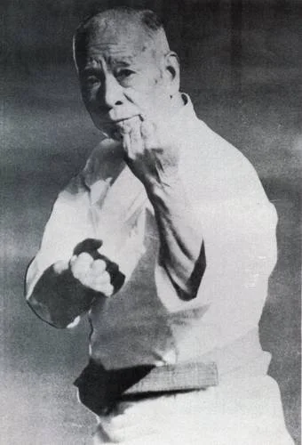 An elderly man in a martial arts uniform demonstrating a fighting stance.