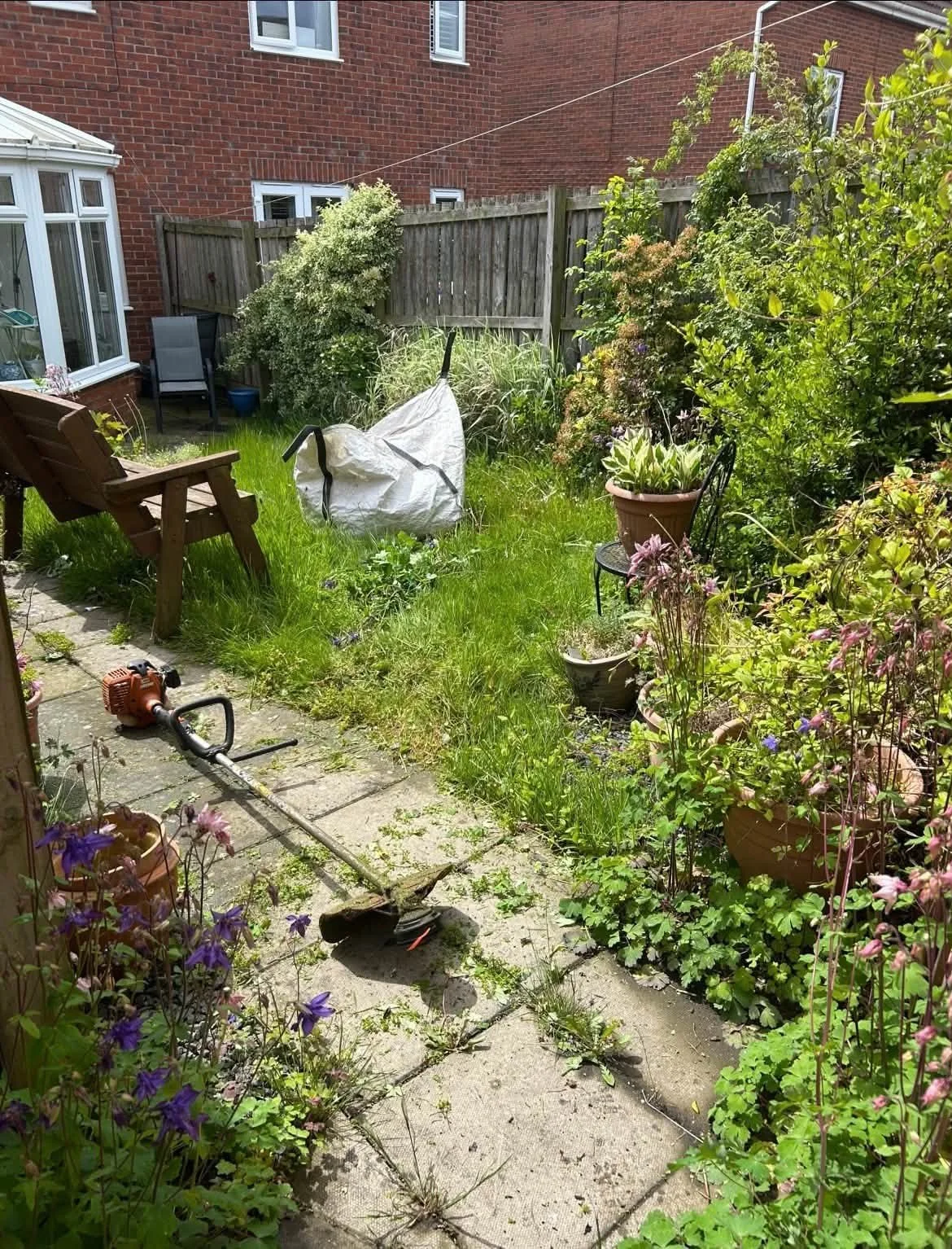 Garden before tidying