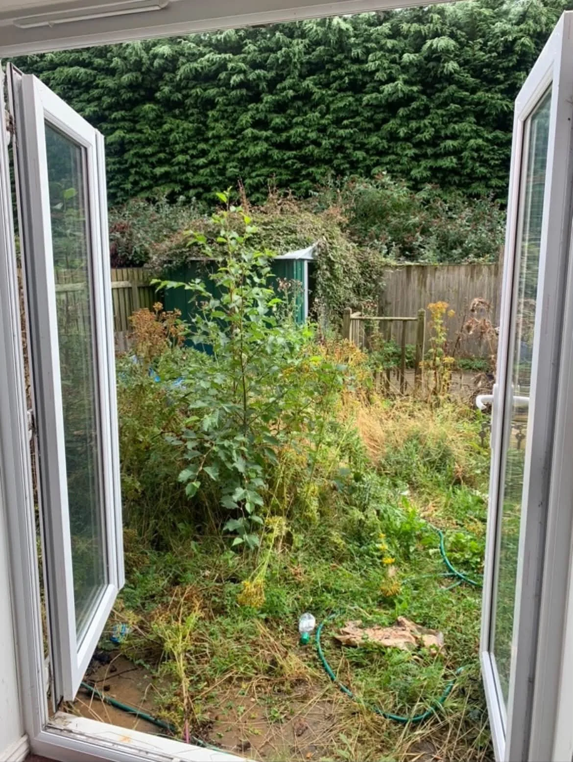 Garden before work