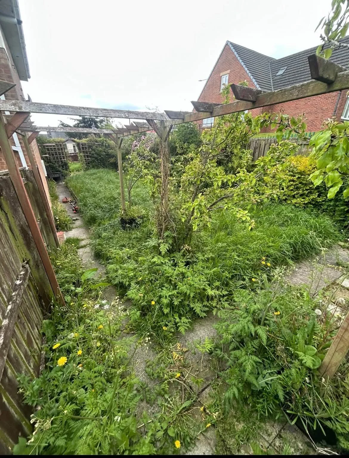 Garden before work