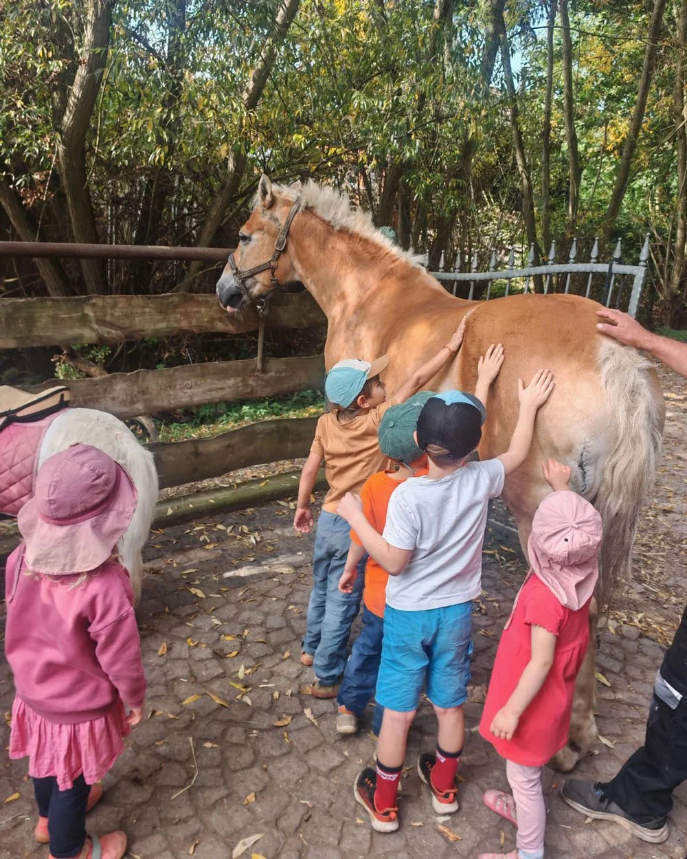 Froebelkindergarten-Weimar-Tiergestuetzte-Paedagogik-2.jpg