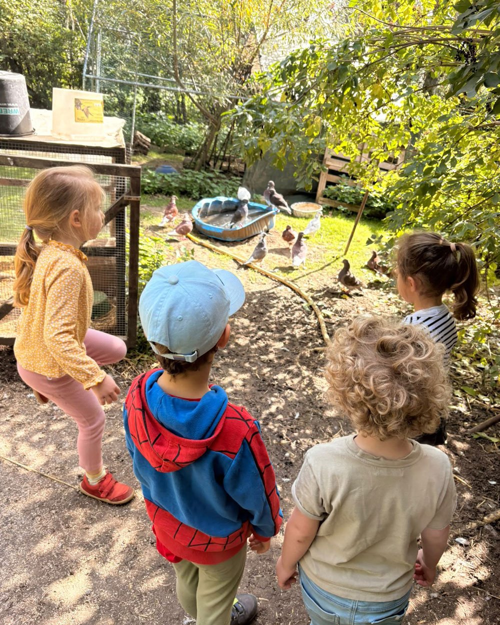Froebelkindergarten-Weimar-Tiergestuetzte-Paedagogik-4.jpg