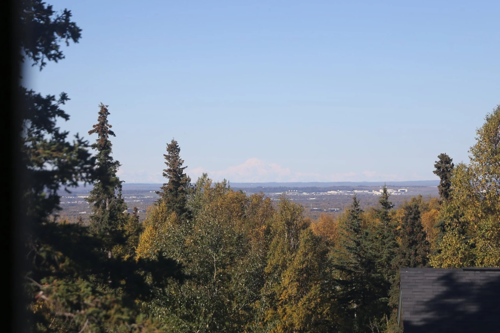 A view of a landscape with trees in autumn colors in the foreground, distant buildings and a flat horizon under a clear blue sky.