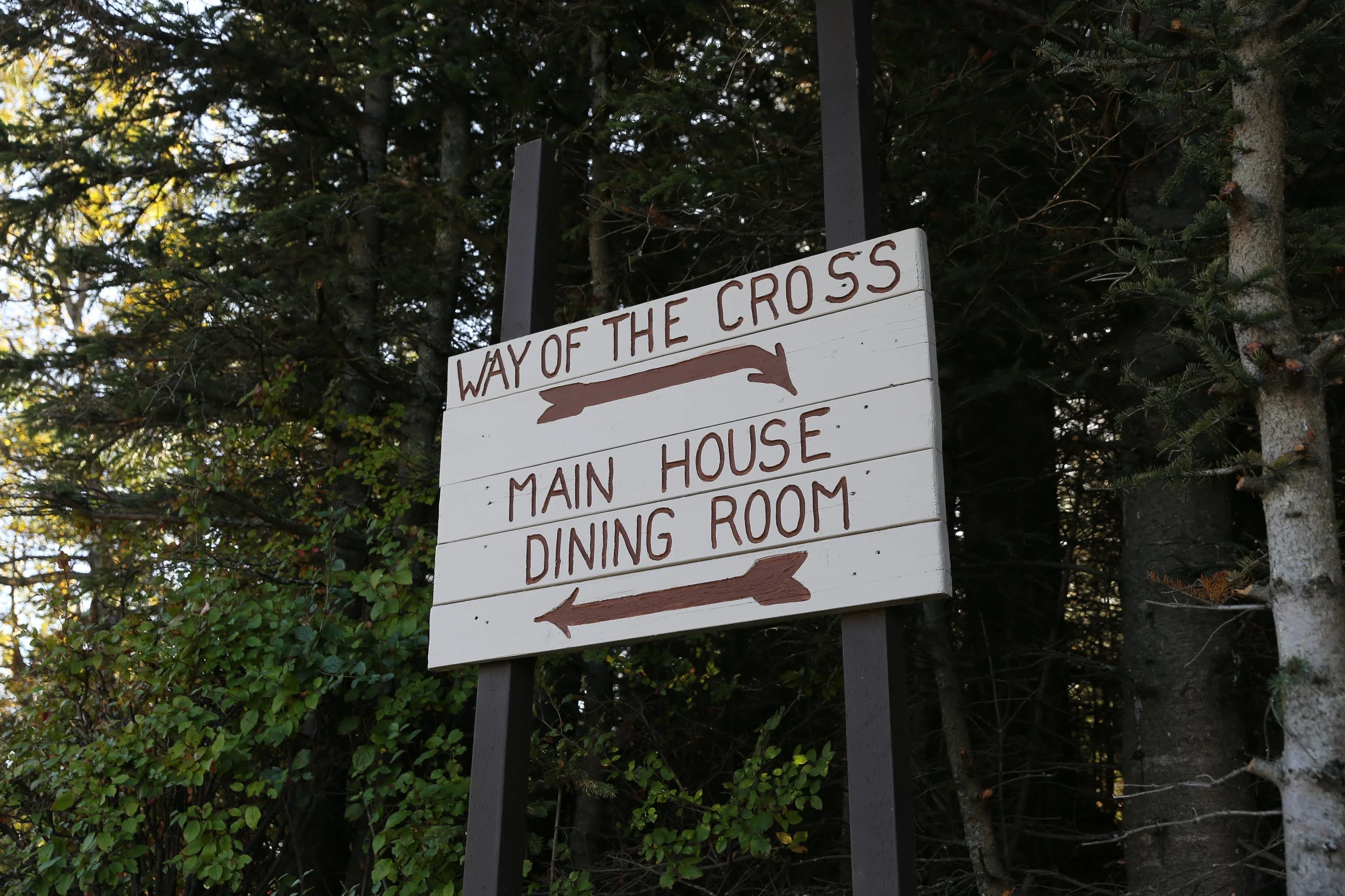 A wooden sign with handwritten text on it, surrounded by trees and foliage.