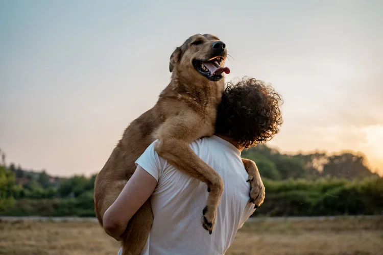 A dog being held close