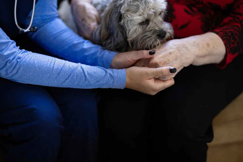 Veterinary professional providing gentle care and reassurance