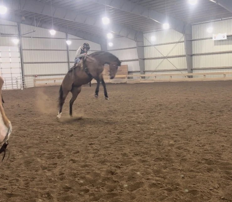 bucking3.jpg